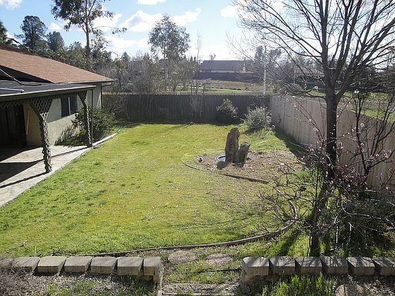 Backyard, from terrace
