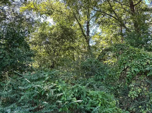 S Friou St, Jefferson, TX 75657