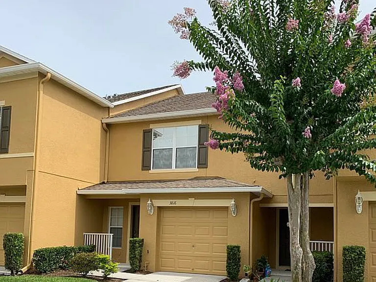3816 Silverbell Loop — Photo 1