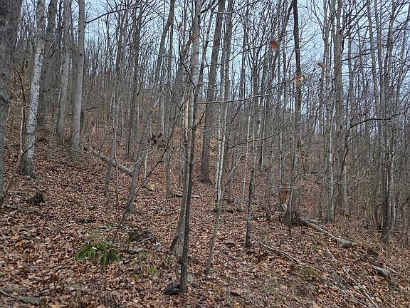 4th image of 0 Evans Hollow Rd