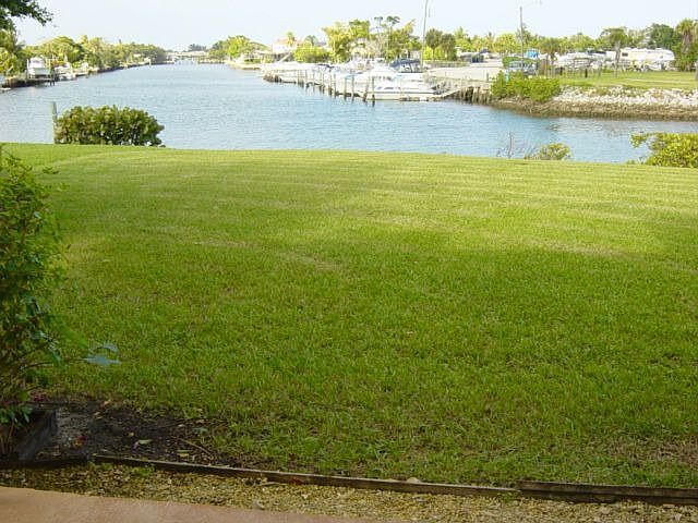 Living room view