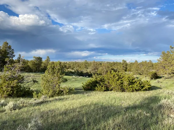 Musselshell Trl, Lewistown, MT 59457