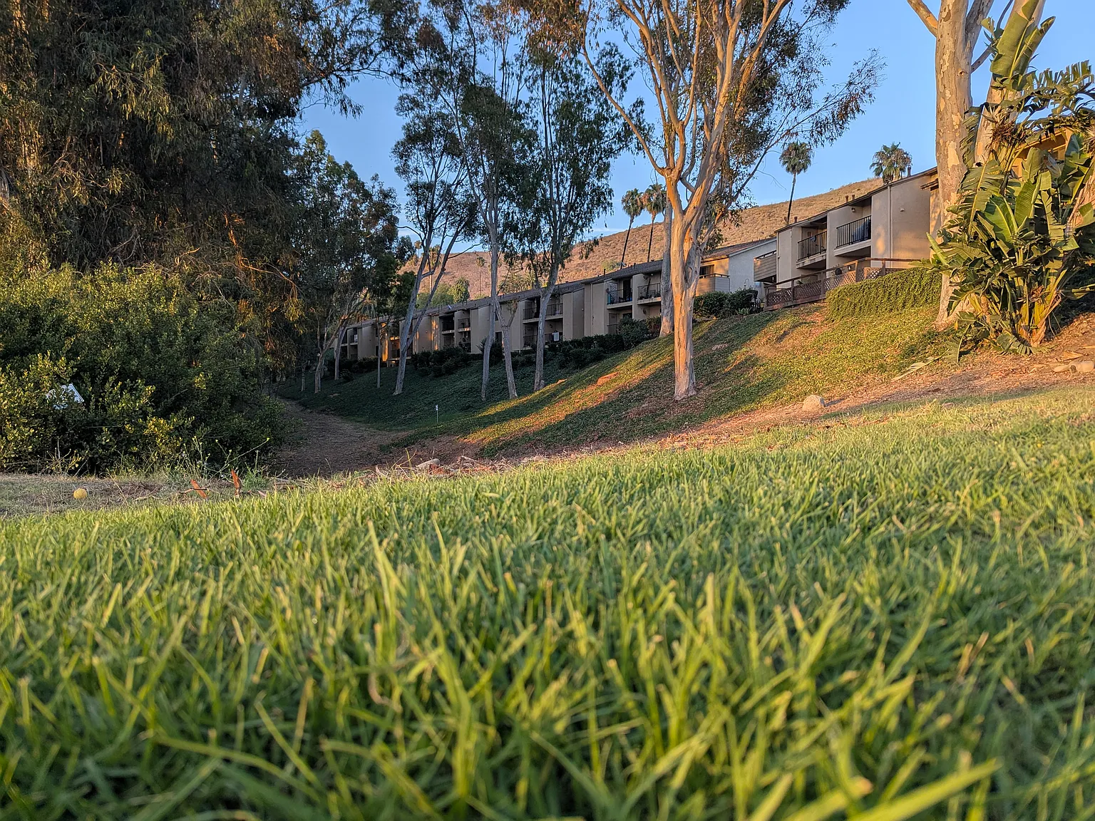 2 bed, $3,350 — Photo 1