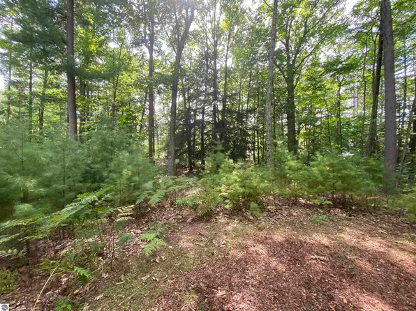 12 Deer Park Dr Lot 29, Glen Arbor, MI 49636