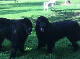 127 Horniblow Point Rd, Edenton, NC 27932