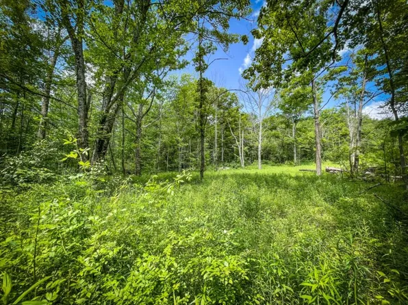 0 Cayutaville Rd, Newfield, NY 14867