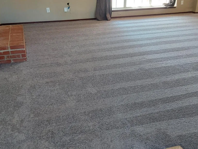Brand new carpet