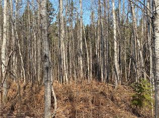 Near Bear Lake Road, Butternut, WI 54514