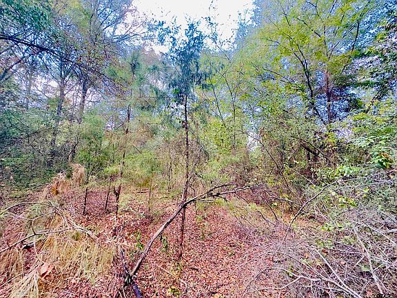 4th image of 0 Apple Tree Rd