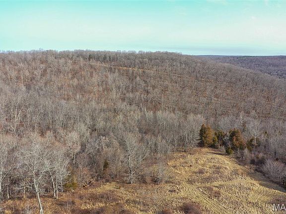 5th image of 10331 Hopkins Rd