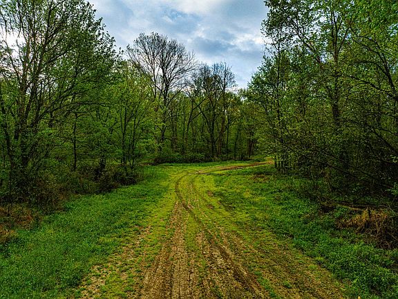 12th image of 280 Fields Rd