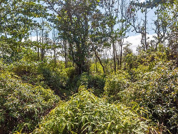 2nd image of Loke Rd Lot 3038