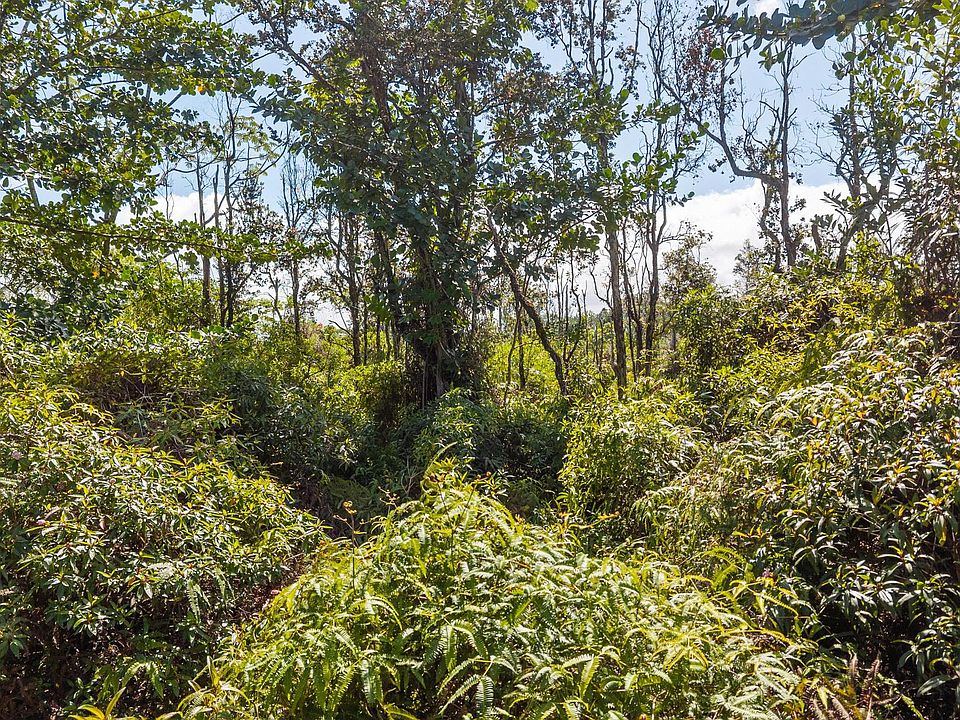 1st image of Loke Rd