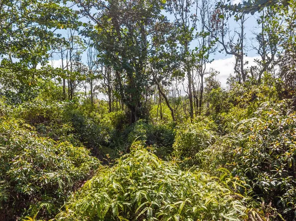 Loke Rd, Keaau, HI 96749