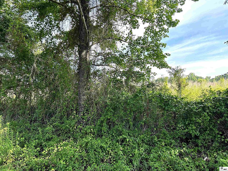 1st image of 0 Ruggs Bluff Rd