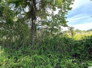 0 Ruggs Bluff Rd, Downsville, LA 71234