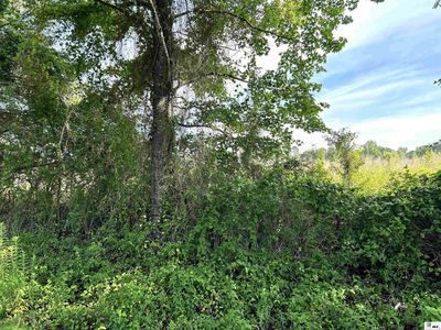 0 Ruggs Bluff Rd, Downsville, LA, 71234