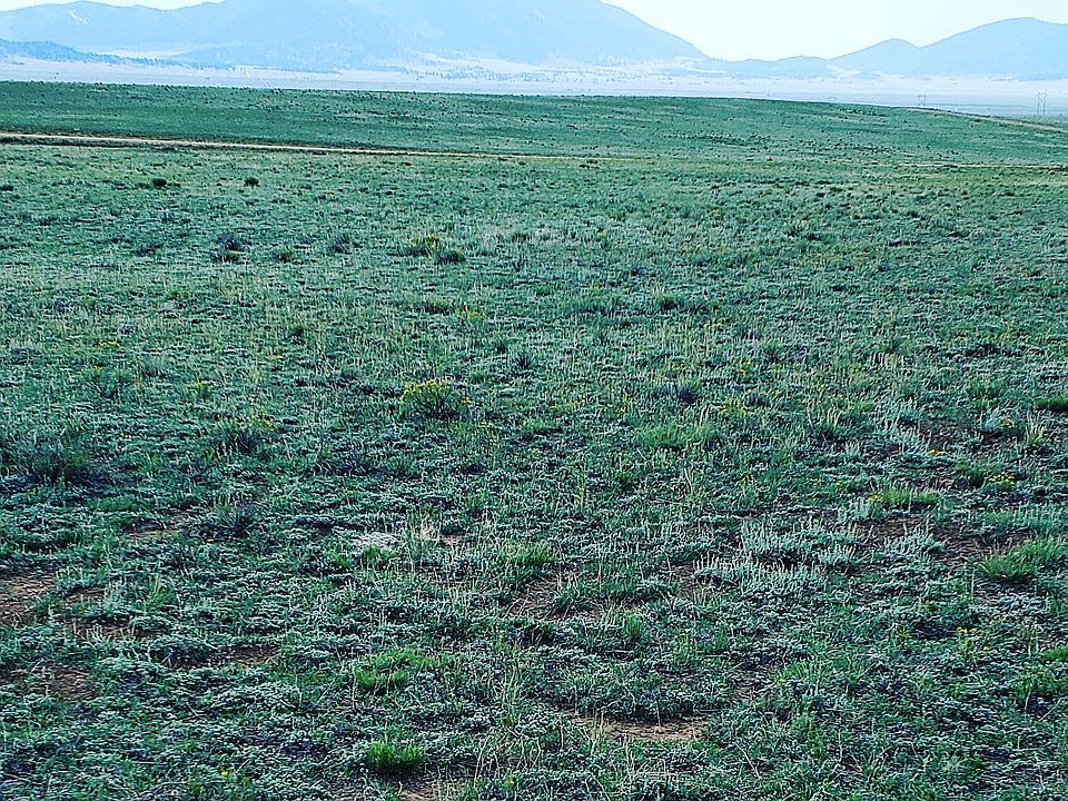 Flat to rolling. 
Easy building
