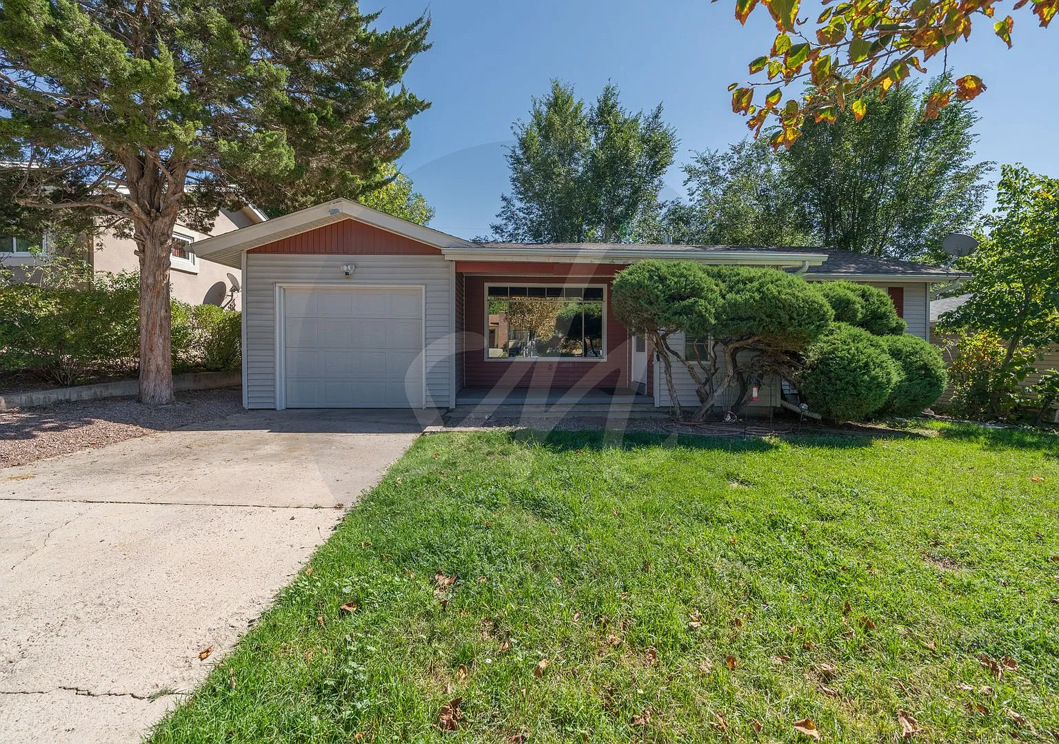 Charming Ranch on a Large Lot Near UCCS! — Photo 1