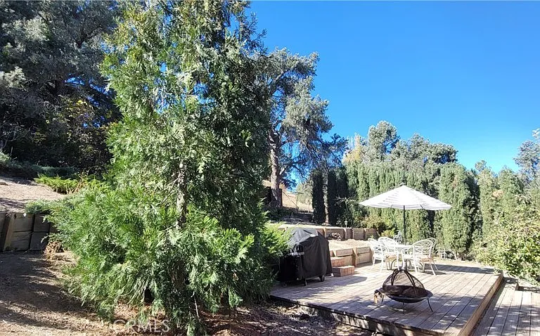 1317 Pinetree Dr — Photo 64
