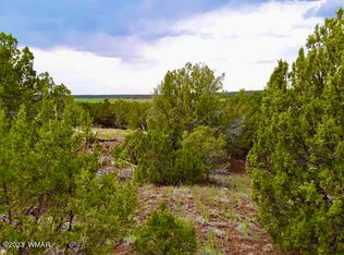 72 County Road 8245, Concho, AZ 85924