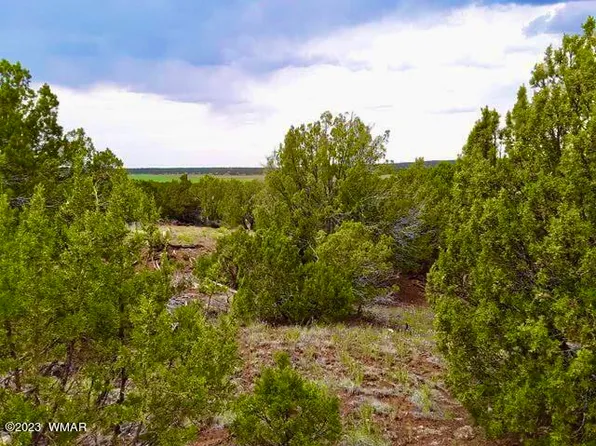 72 County Road 8245, Concho, AZ 85924