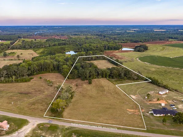 1371/COUNTY Road 625, Coffee Springs, AL 36318