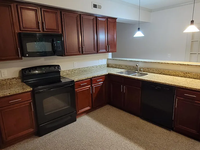 1212 Turtle Creek Ct #MAIN — Photo 12