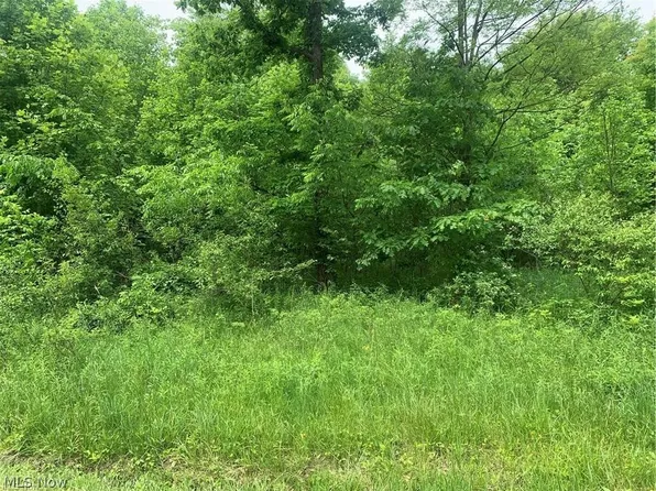 Pinney Topper Rd, Ashtabula, OH 44004