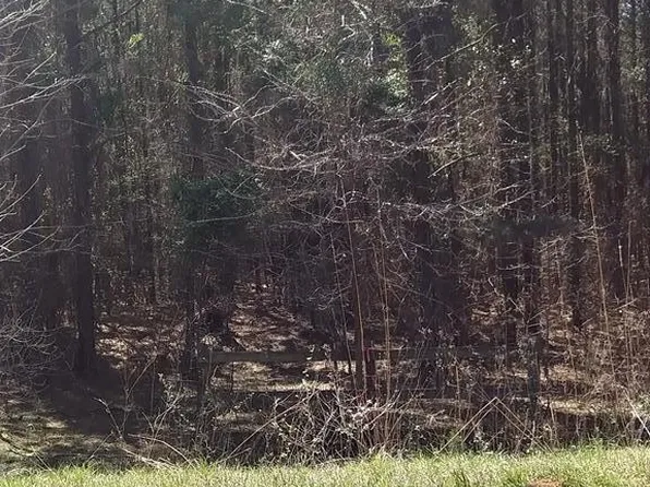 2514 State Highway 91, Mount Carmel, SC 29840