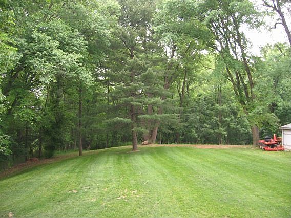 View of back yard