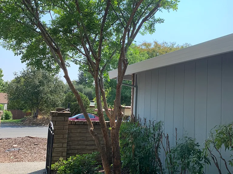 Carmichael Way — Photo 10