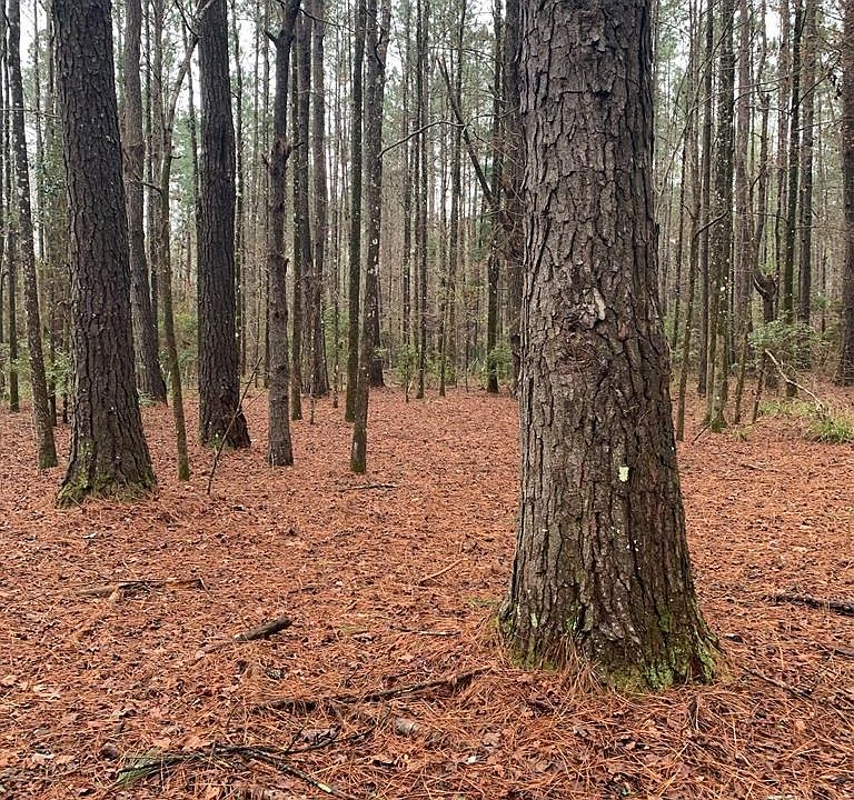 1st image of SE McCray Rd