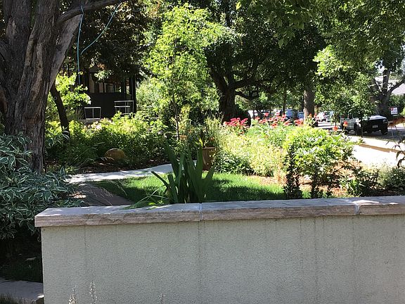 Front garden