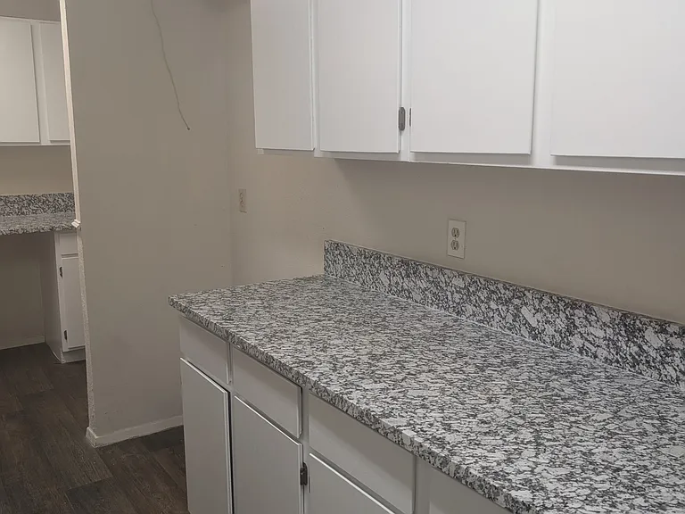 2411 Windy Pine Ln — Photo 12