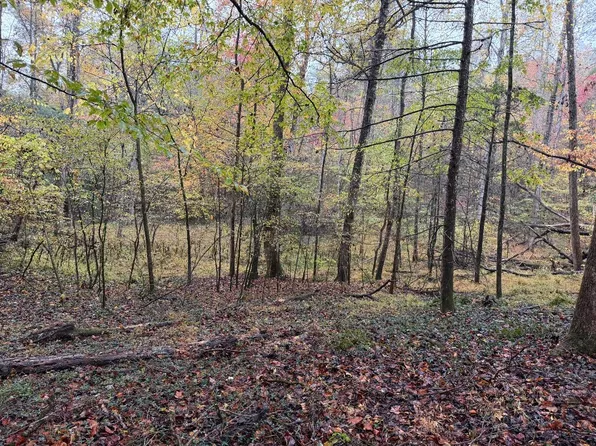 000 Punkton Rd, Del Rio, TN 37727