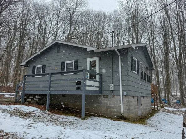 7466 Point Mountain Rd, Webster Springs, WV 26288