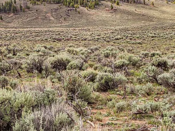 0 Powerline Rd, Gunnison, CO 81230