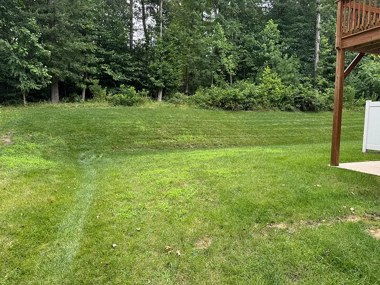 Rear Yard