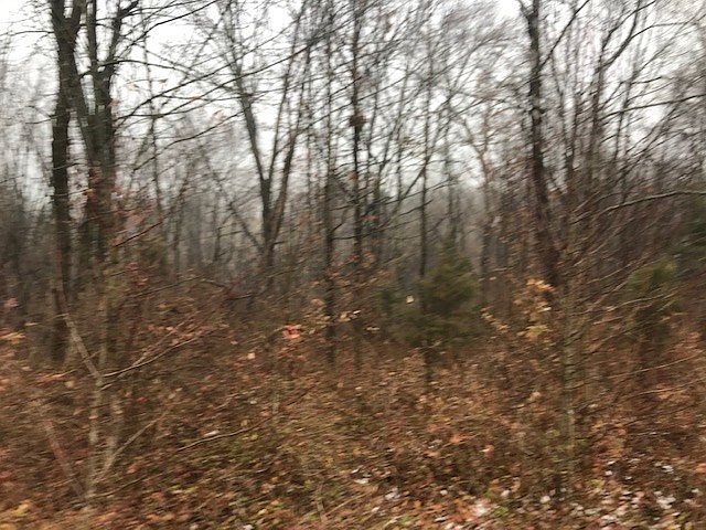 2nd image of 4 Ridge Rd