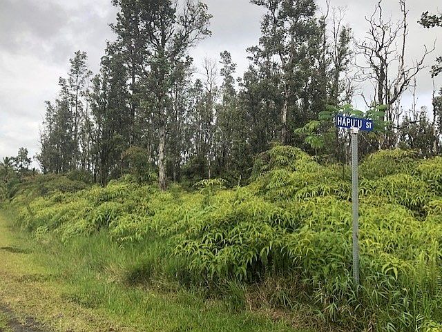 1st image of Hapuu St Lot 1