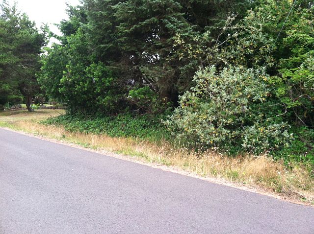 1st image of 357 Dorado Ave SW