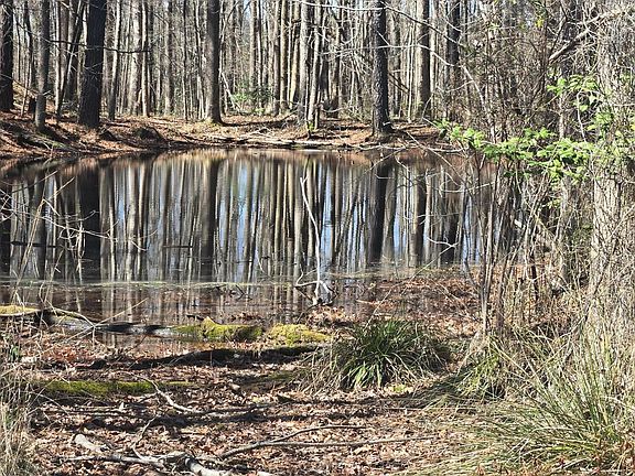 5th image of 1731 Wollett Mill Road