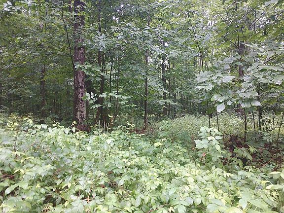 3rd image of 10477 W Munro Lake Dr #6