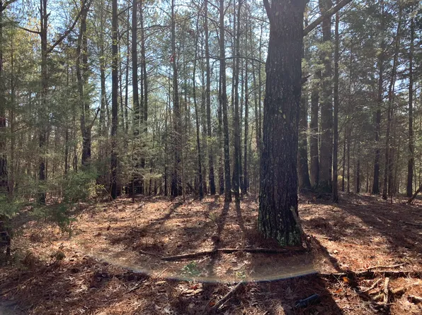 4005 Smyrna Rd, Huntingdon, TN 38344