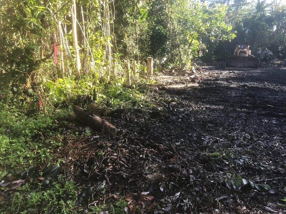 2nd image of Kawakawa St Lot 7