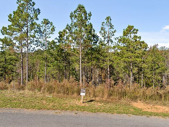 4th image of LOT 334 Twisted Oak Rd