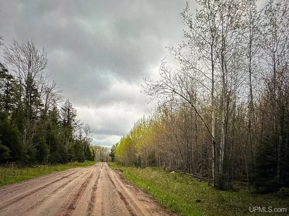 Beartown Rd, Baraga, MI 49908