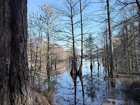 2nd image of 1187 Webster Bluff Rd