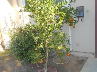 814 Hooshang Ct, Cupertino, CA 95014